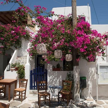 Villa Kavalli Paros Dhragoulas エクステリア 写真