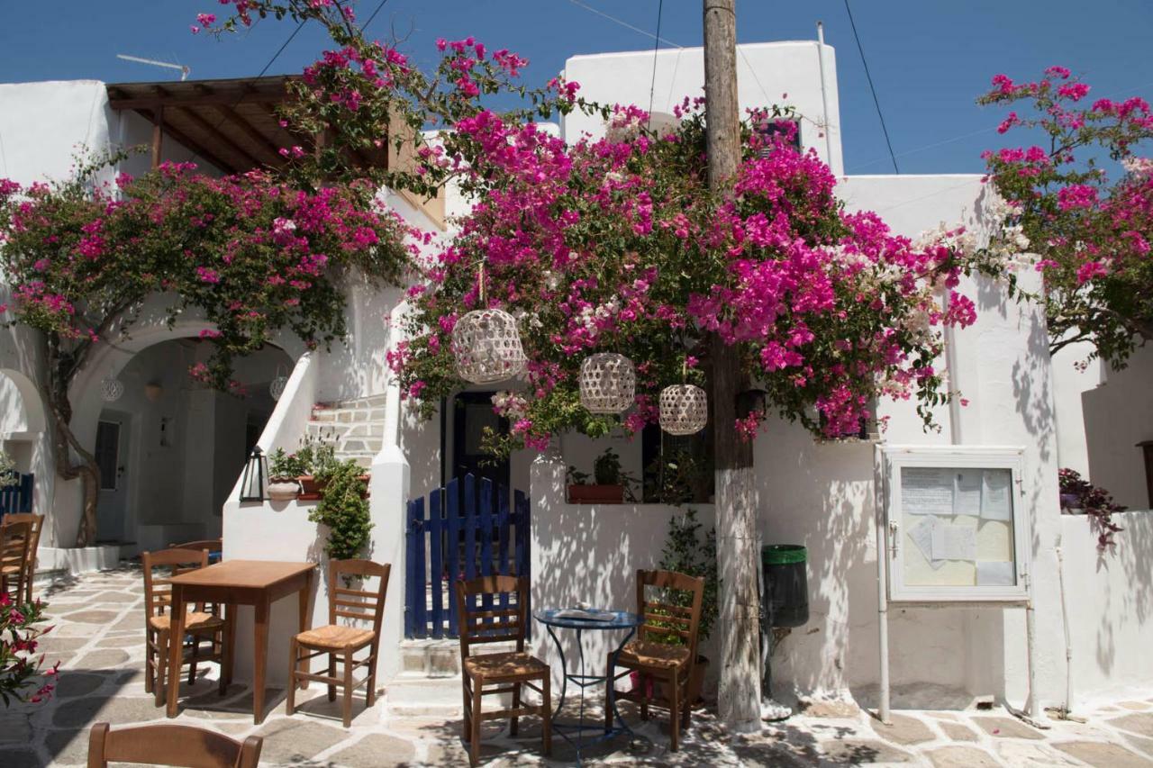 Villa Kavalli Paros Dhragoulas エクステリア 写真